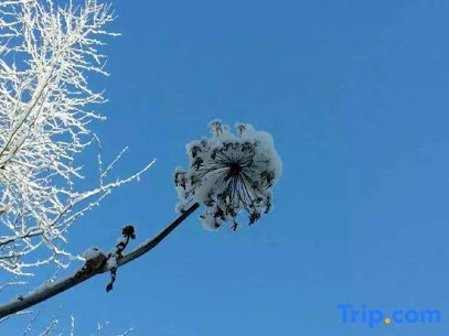 wuchangxueguyanlingjiatinglvguan