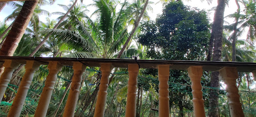 Hotel Coconut Inn Goa