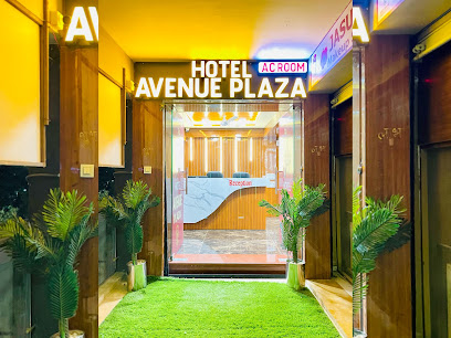 Hotel Avenue Plaza