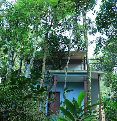 Periyar green home stay(bed and breakfast)