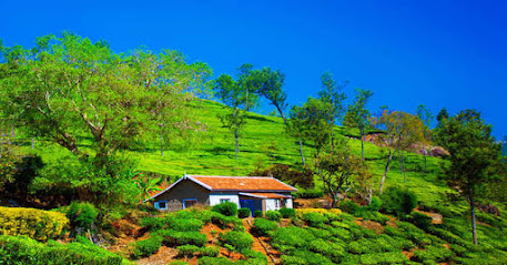 HillRock resort