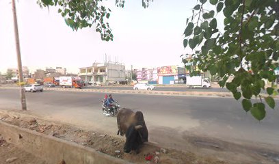 Flagship Hotel Radhe