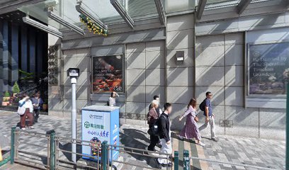 華麗酒店