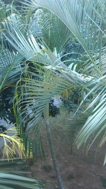 兴隆明珠温泉酒店