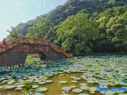Qijing Hostel