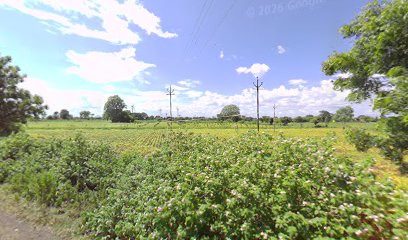 माली रेस्टोरेंट एंड टि स्टाल