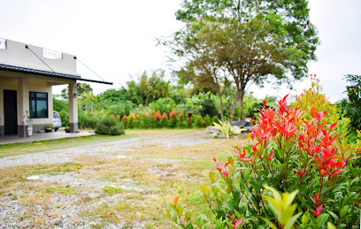 台东-日月山水民宿