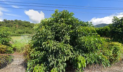 素敵园休闲渡假民宿