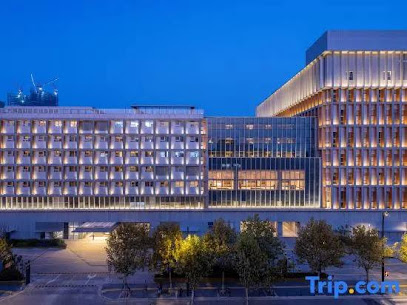 Stargale's Collection