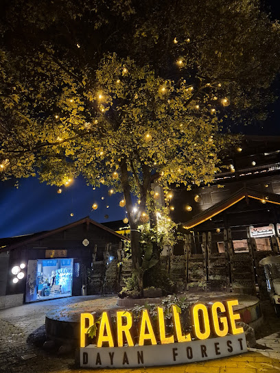 柏乐朗·PARALLOGE大研心林雪山悬崖泳池酒店