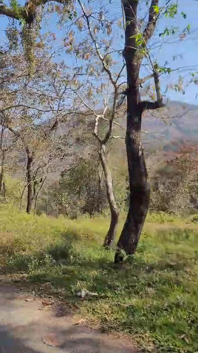 Mamalakandam Tree house