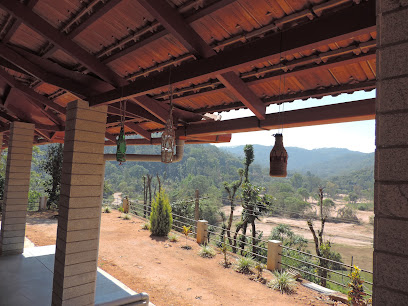 Coffee Estate Stay - Homestay in Coorg