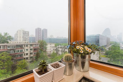 Splendiferous Apartment - Wang Jing
