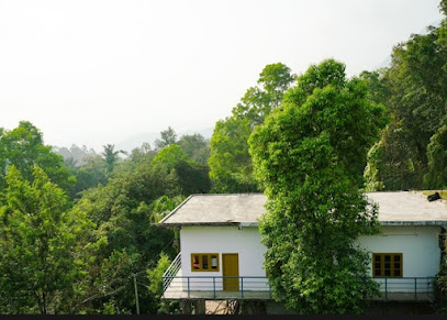 Green Pepper Homestay Munnar