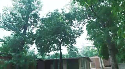 Ganga Retreat by Yog Gurukul Rishikesh