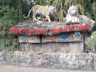 Baaz Jungle Resort