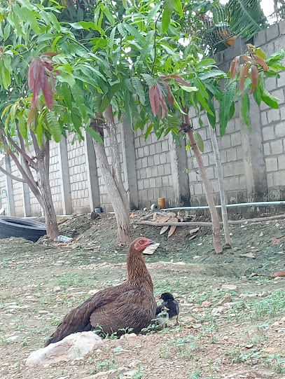 Tangfang Courtyard House Hotel