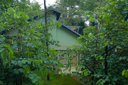 Lapista Wayanad