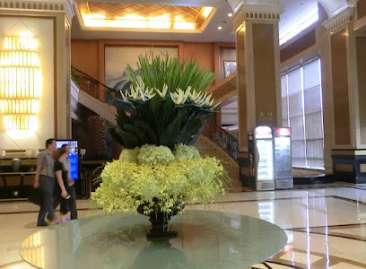 Smile AND Natural International HOT