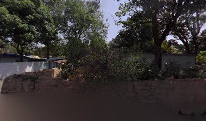 Meena Singh Home
