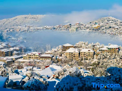 Lushan Xingxiaju Homestay