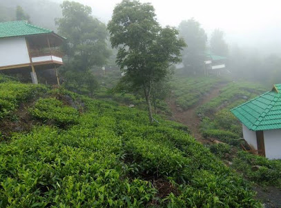Vythiri Hills Nature Resorts