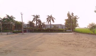 Green field resort