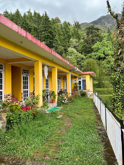 Yellow House Dharmkot