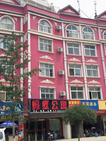 Zhaotong Ant Apartment