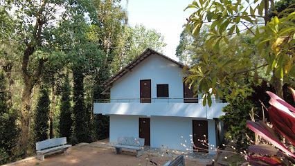 Seattle Garden KolliHills
