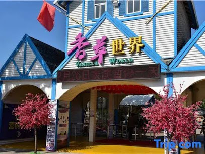 JZSS International Apartment