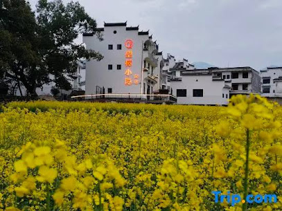 Wuyuan Wanglu Xiaoyin Homestay