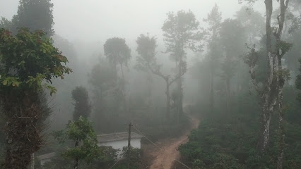 OYO Home 46839 Dewdrops Stay Coorg