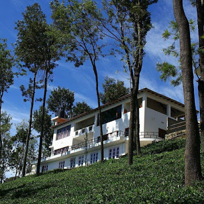 GREEN MIST RESORT