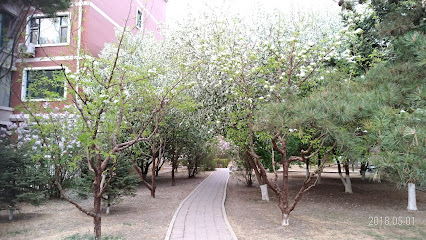 松原阳光100酒店公寓