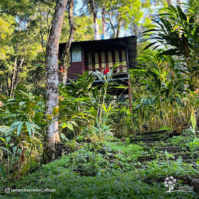 LanternStay - Resort in Wayanad - Camping and Tent Stay - Nearby Vythiri Village