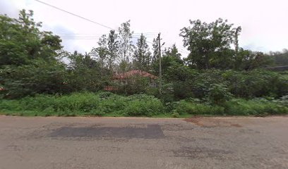 Pepper Tree Homestay