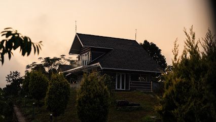 Ainsley vagamon