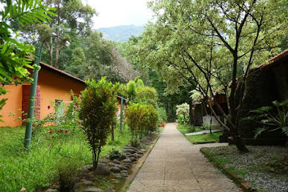 Vythiri Blue Ginger Resort
