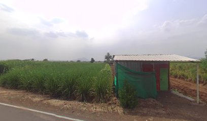 Jai bhawani vada paw centre