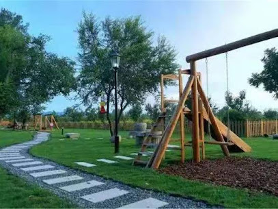 A Tree Hostel