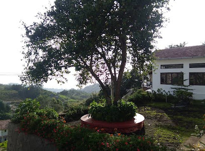 The Xanadu Meghadhootam