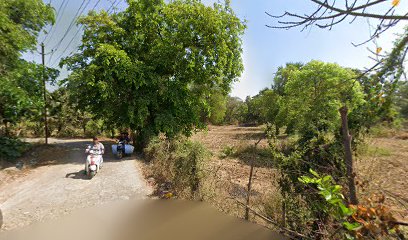 Vihang vihar
