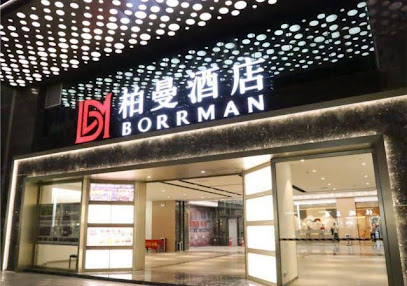 Borrman Hotel Guangzhou Changlong Shiqiao Metro St