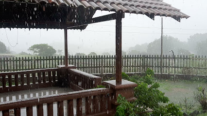 Hill View resort amba