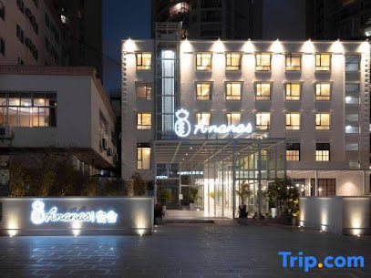 The Ananas Hotel