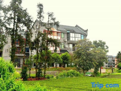 Songyang Near Shuiwangyue Homestay