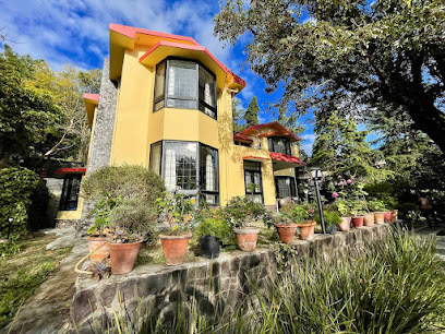 Sundays Forever Thistle House