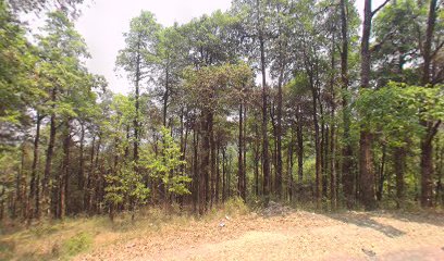 Mukteshwar Chalets