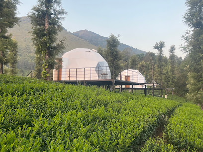 Vythiri Tea Valley